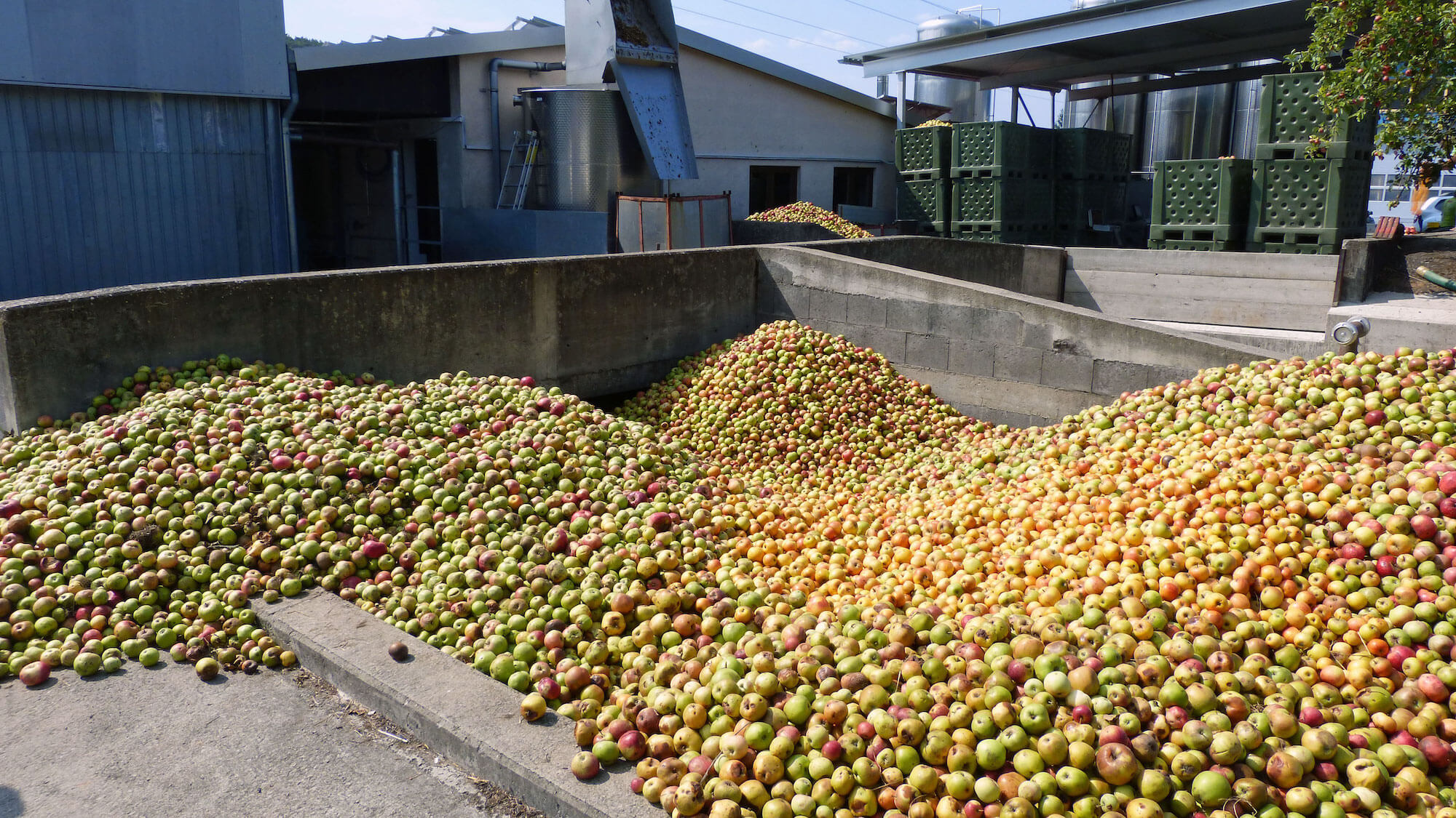 Apple exchange at Kuhn's winery in Elsenfeld